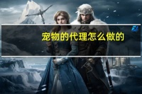 宠物的代理怎么做的