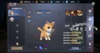 新神魔大陆魔宠刷新点在哪 魔宠刷新点与捕捉攻略