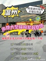 温州目前哪里有狗市猫市?这里安全可靠能挑选心仪的宠物哦