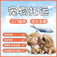 义乌寄宠物宠物托运上门接宠
