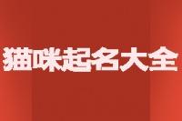 猫咪起名大全