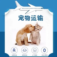 咸宁猫咪宠物托运空调轿车