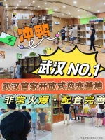 武汉英短蓝白猫哪家宠物店口碑好？武汉这家宠物店良心推荐，信誉高