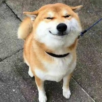 一狗一人的情侣图 两人一狗的情侣头像(3)