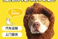 【莆田宠物托运价格