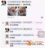 有人给宠物整容，你怎么看？你会去做吗？