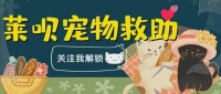杭州养宠近600万，仅约1300条犬植入芯片，为何免费都没人来