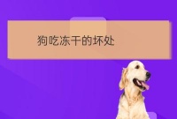 宠物冻干肉怎么自制:狗狗吃鹌鹑冻干的好处