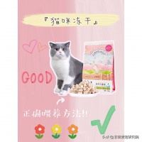 老车手壁纸：猫咪冻干正确喂养方式
 
越来越多的铲屎官喜欢喂猫咪冻干，猫咪也特别爱吃。但其实很多铲屎官对冻干的了解知之甚少或者存在一定的误区。今天就来和大家好好谈谈猫咪冻干。
 
猫咪冻干攻略
 
什么是冻干？
冻干简称真空冷冻干燥，原理是将新鲜肉类放入零下40度的真空环境中急速冷冻，使肉类含有的水份变成冰块，然后在真空下使冰升华而达到干燥目的，同时保留了新鲜食品的色、香、味及营养成分。
 
注意...