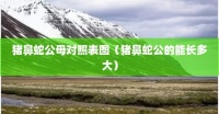 猪鼻蛇公母对照表图（猪鼻蛇公的能长多大）