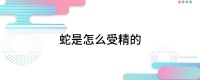 蛇是怎么受精的
