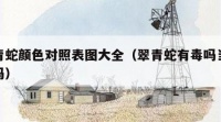 翠青蛇颜色对照表图大全（翠青蛇有毒吗当宠物吗）