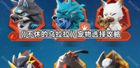 不休的乌拉拉宠物怎么搭配