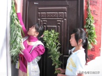宠物兔冬天吃什么好养（冬天兔子可以喂什么）