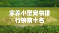 家养小型宠物排行榜前十名