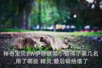 精灵宝可梦bw