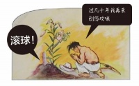 一口气看懂宠物进化史