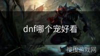 dnf哪个宠好看