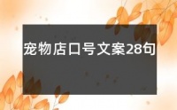 宠物店口号文案28句