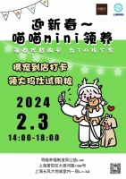 迎新春喵喵mini领养 为TA找个家