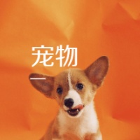 魔力学堂怎么宠物融合
