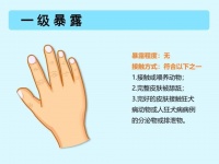 全面讲解