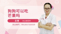 狗可以吃芒果吗