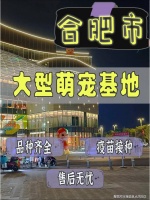 合肥宠物市场在哪里？（合肥）这里宠物基地直销，没有中间商