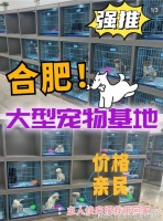 合肥最大的宠物市场在哪里?这里安全可靠能挑选心仪的宠物哦