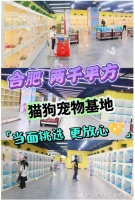 合肥最大的宠物市场在哪里?这里安全可靠能挑选心仪的宠物
