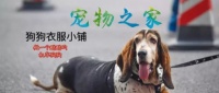 宠物狗狗服装公众号封面在线图片制作