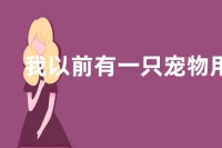 我以前有一只宠物用英语怎么写