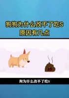 狗的通灵能力（探索狗与灵性之间的神秘联系）