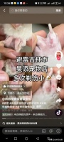 吉林市网友吐槽一家宠物店，多次剃伤小狗？你怎么看？
