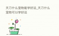 天刀什么宠物能学好运