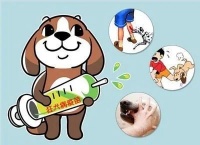 沧州市区公布23个犬只狂犬疫苗注射点