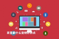 家里养什么宠物好养点