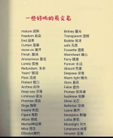 炫舞宠物英文名字 适合宠物的英文名字