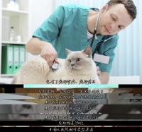 韩志敬：近年来，随着宠物数量规模的扩大，宠物医疗行业得以迅速扩张。2023年我国宠物医疗市场规模达到800亿元，包含宠物诊疗、宠物药品、宠物体检、宠物疫苗等具体项目。其中，宠物狗医疗市场为411亿元，宠物猫为390亿元。

从医院就诊类型来看，猫狗主要为免疫和诊疗，病因多为消化系统的疾病和皮肤病。根据我国动物诊疗机构的管理办法，开办宠物医院需取得动物诊疗许可证和医疗机构职业许可证，场所和医疗器械需...