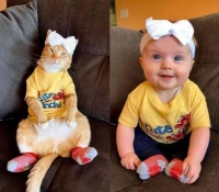橘猫被迫帮主人带娃，还和宝宝穿同款衣服比谁美，网友：橘猫赢了