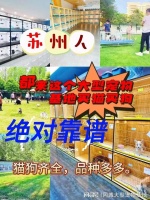 苏州宠物猫狗哪里买靠谱?这里买宠物放心还能去实体店挑选宠物