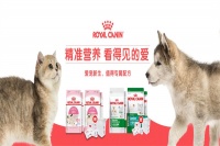皇家宠物食品招商加盟