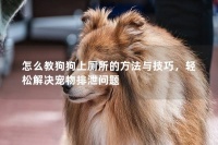 怎么教狗狗上厕所的方法与技巧，轻松解决宠物排泄问题