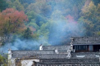 百科知识