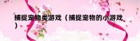 捕捉宠物类游戏（捕捉宠物的小游戏）