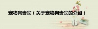 宠物狗贵宾（关于宠物狗贵宾的介绍）
