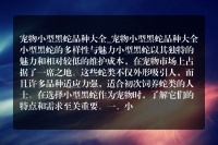 宠物小型黑蛇品种大全
