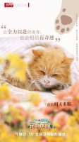 世事无常，生命可贵！今日21:08《小主安康-宠物医院3》与你一起探寻生命抉择背后的人宠真情