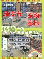 淮安哪里有卖宠物的市场？这里安全有保障，可亲自挑选宠物！