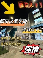 西安比熊犬什么价格（西安）这里买比熊犬价格优惠，品质更佳！